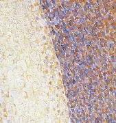 Georges Seurat, Detail of Dance